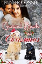 Central Bark at Christmas